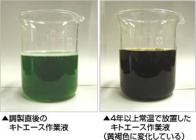 液体キトエースCの効力保持結果