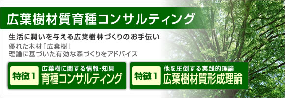 広葉樹材質育種コンサルティング
