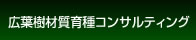 広葉樹材質育種コンサルティング