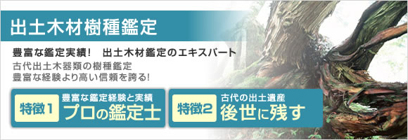 出土木材樹種鑑定