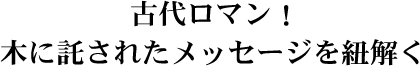 古代ロマン!木に託されたメッセージを紐解く