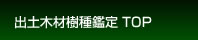 出土木材樹種鑑定　TOP