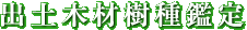 出土木材樹種鑑定