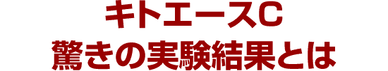 キトエース驚きの実験結果とは