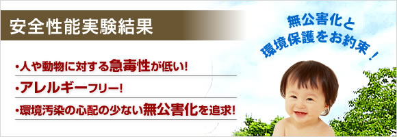 安全性能実験結果