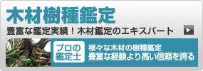 木材樹種鑑定　豊富な鑑定実績！出土木材鑑定のエキスパート　プロの鑑定士　古代出土木器類の樹脂鑑定豊富な経験より高い信頼を誇る