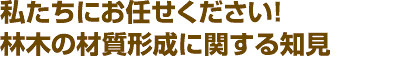 私たちにお任せください！広葉樹の材質形成に関する知見