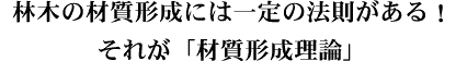 広葉樹の材質形成には一定の法則がある！それが、「「材質形成理論」