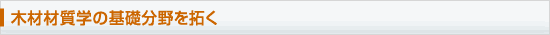 木材材質学の基礎分野を拓く
