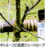 キトエース処理ジュートロープ