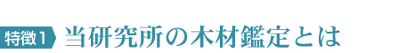 当研究所の木材鑑定とは